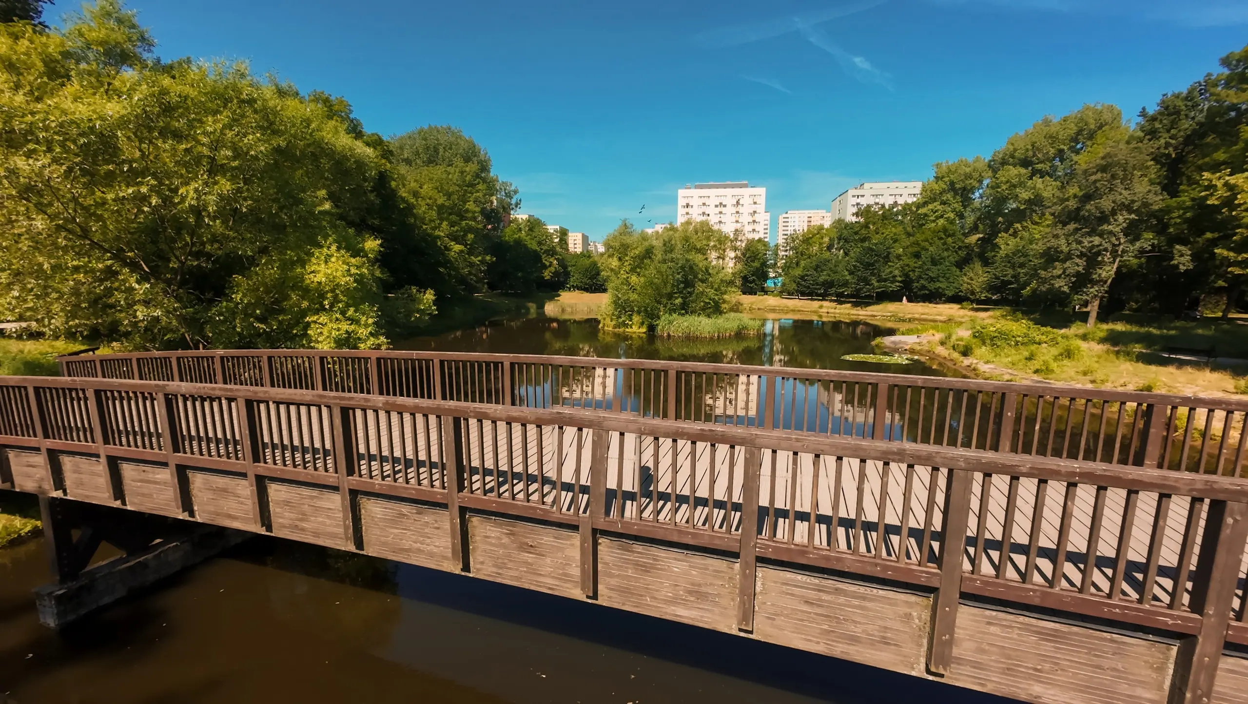 Drewniany most nad parkowym stawem otoczonym zielenią, widziany z lotu ptaka