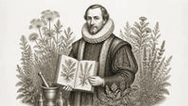 Rycina — John Gerard